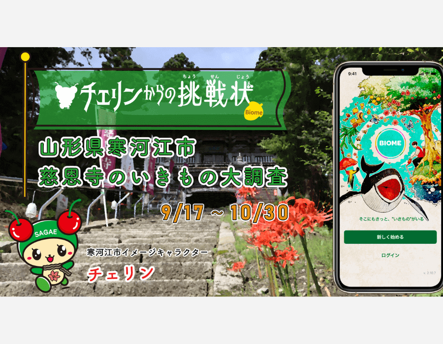 山形県寒河江市 バイオーム チェリンと一緒にアプリでいきもの大調査すっべ 観光 アプリ バイオーム 慈恩寺 空き家リノバニュース アキヤリノバニュース Akiyarenova News